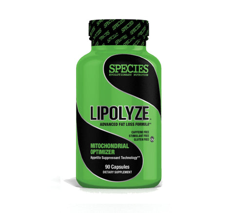 Lipolyze