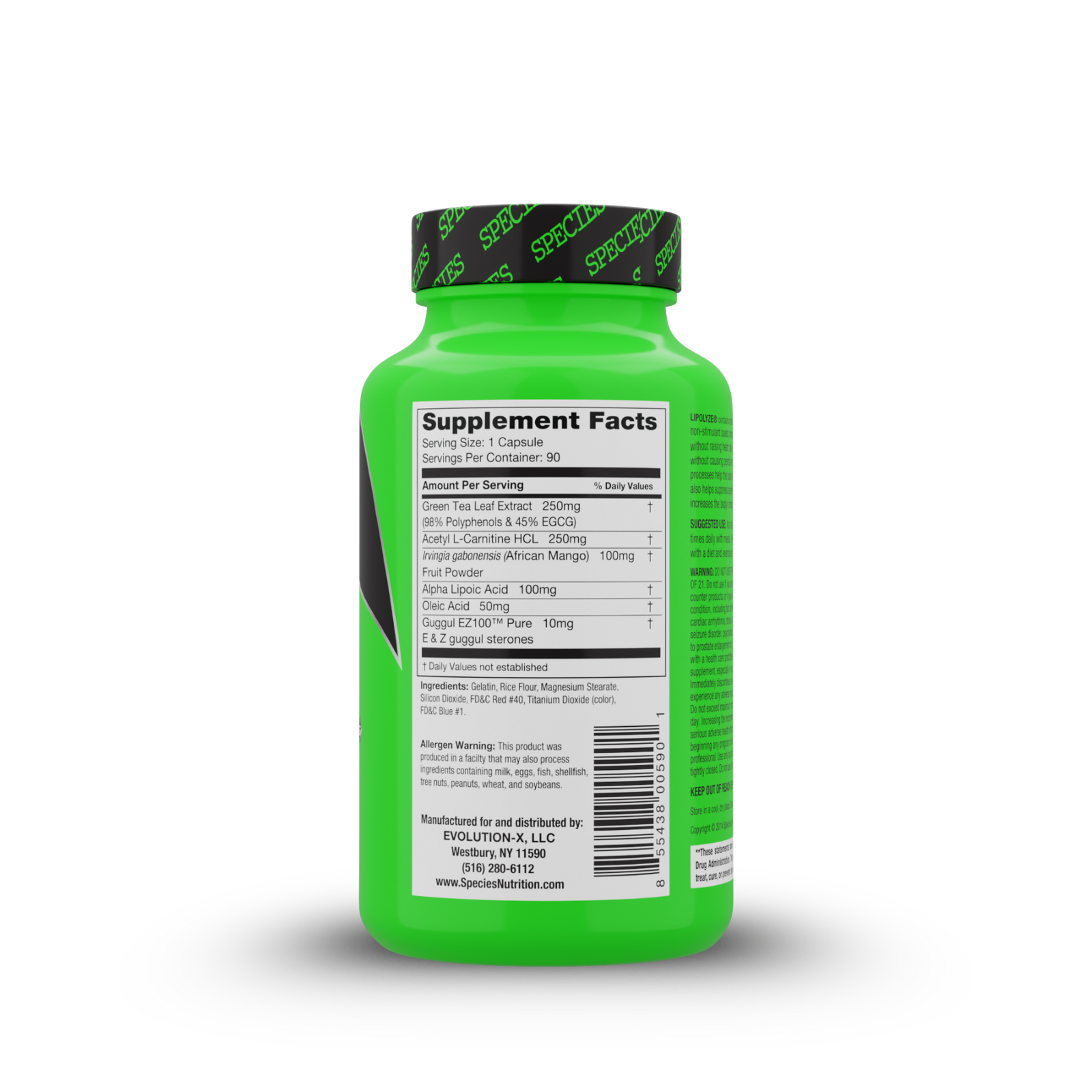 Free Lipolyze