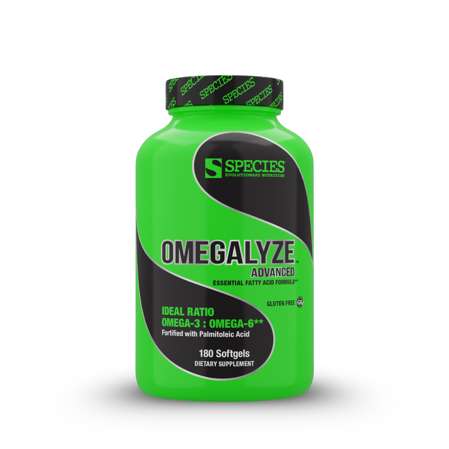 Omegalyze - Front