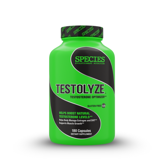 Testolyze - Front