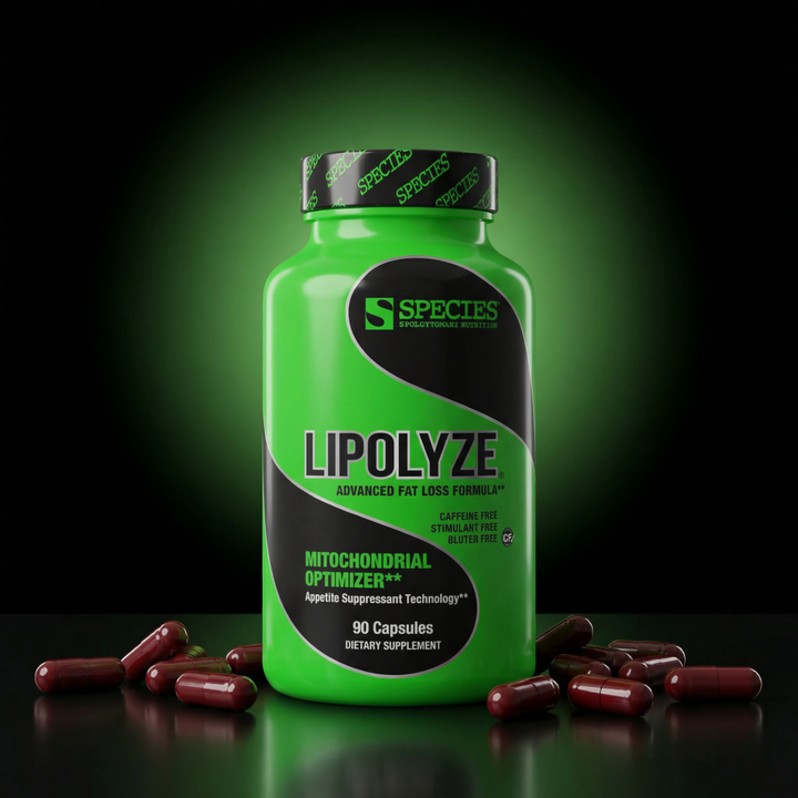 Lipolyze - Hero Dark