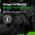 Omegalyze - Benefits